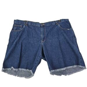 MAINSTREET BLUES ~Woman Plus Size 30W~ Blue Denim Cotton Shorts Pockets, Zipper.